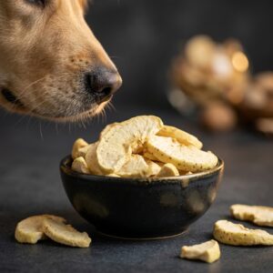 Snack de manzana para mascotas